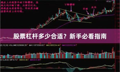 股票杠杆多少合适？新手必看指南